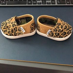 Toms Nat Geo tiny Jaguar baby
